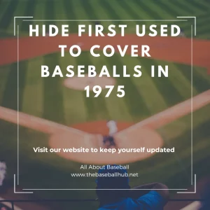 hide used in 1975 to cover baseballs | cowhide